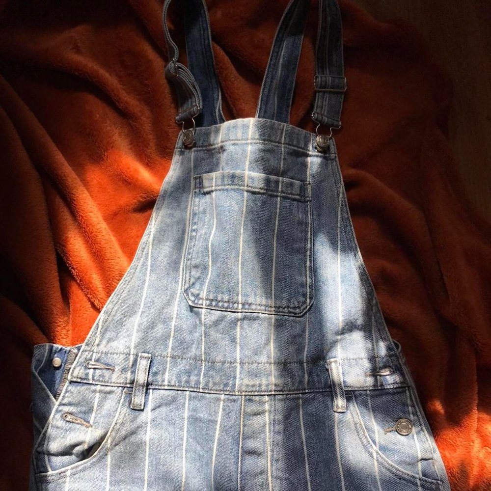 Pacsun Striped Denim Overalls